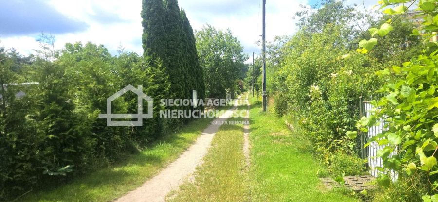 Działka ROD w Sopocie z murowanym domkiem: zdjecie 99070693