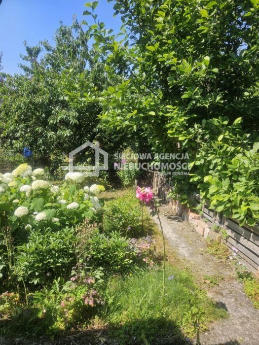 Działka ROD w Sopocie z murowanym domkiem: zdjecie 99071022
