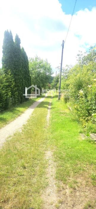 Działka ROD w Sopocie z murowanym domkiem: zdjecie 99070699