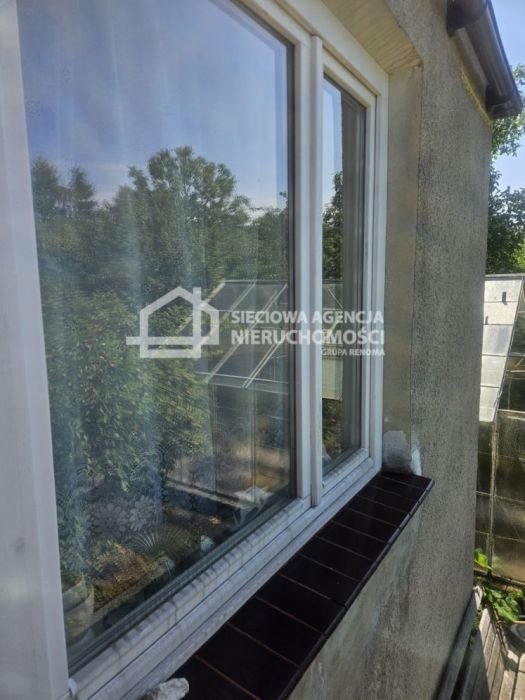 Działka ROD w Sopocie z murowanym domkiem: zdjecie 99071024