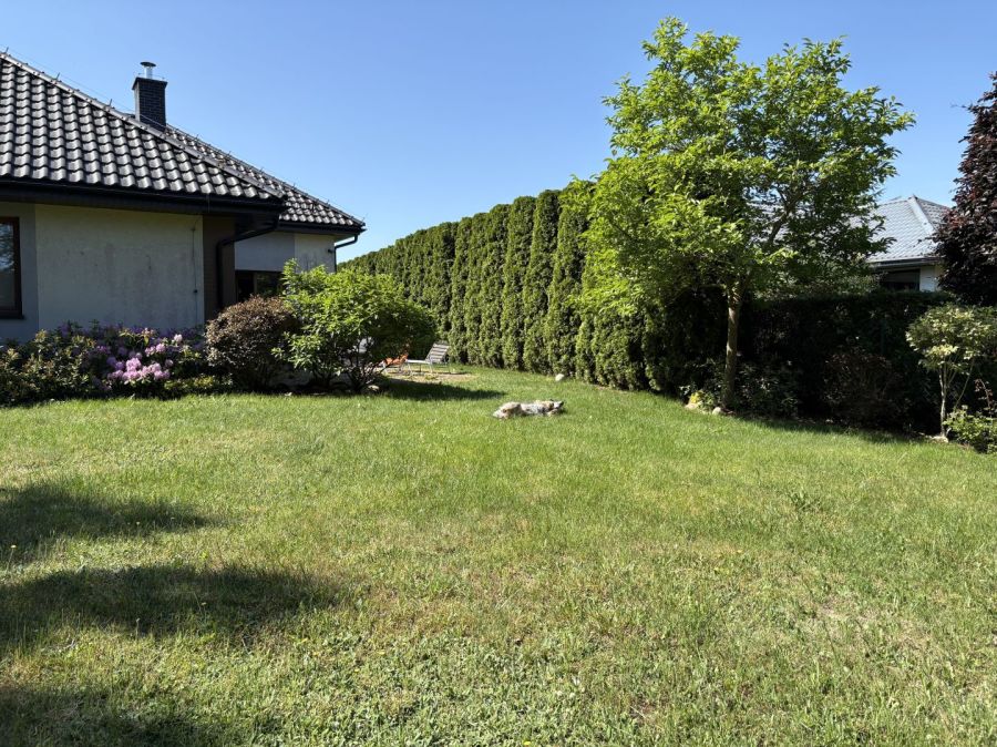 Dom wolnostajacy dla rodziny, piekny ogrod, 200m2: zdjecie 99073261