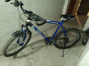 Sprzedam lub zamienię na mniejszy rower Giant: zdjecie 66485014
