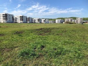 Grunty pod zabudowę wielorodzinną Trójmiasto: zdjecie 66486773