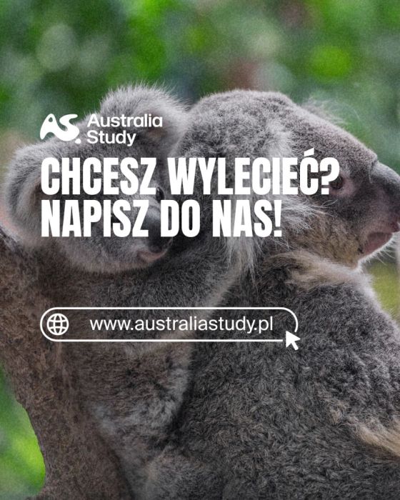 Study Abroad w Australii: Brisbane i Gold Coast: zdjecie 99099161