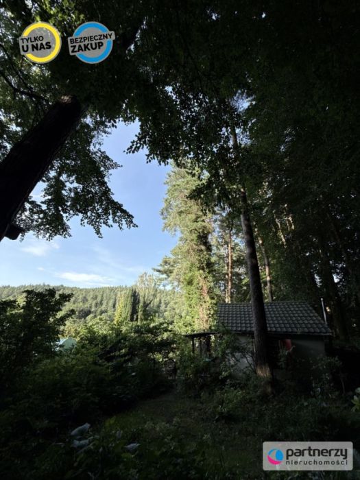 Działka z domkiem | Las za furtką | Piękny ogród: zdjecie 99167759