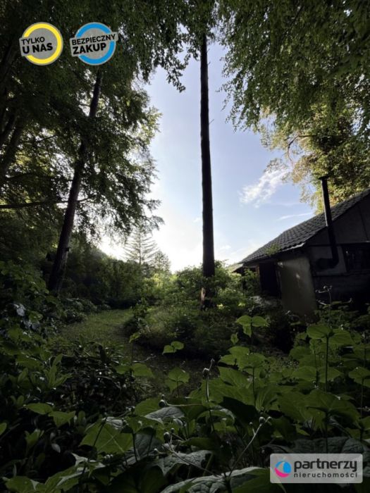 Działka z domkiem | Las za furtką | Piękny ogród: zdjecie 99167760