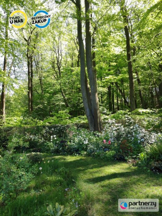 Działka z domkiem | Las za furtką | Piękny ogród: zdjecie 99167750