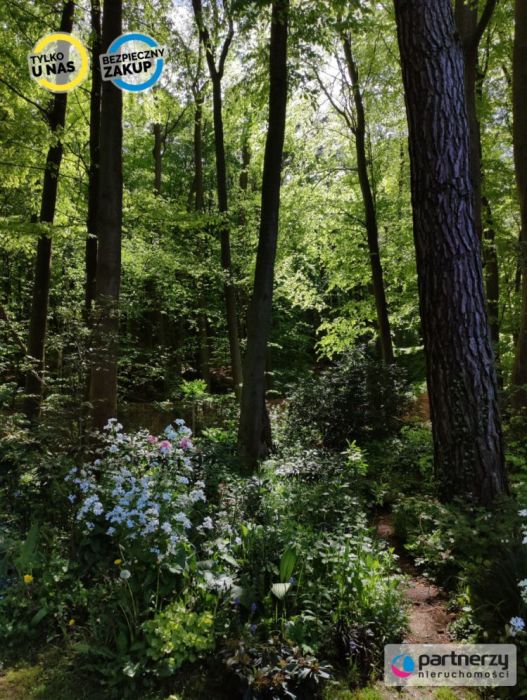 Działka z domkiem | Las za furtką | Piękny ogród: zdjecie 99167751