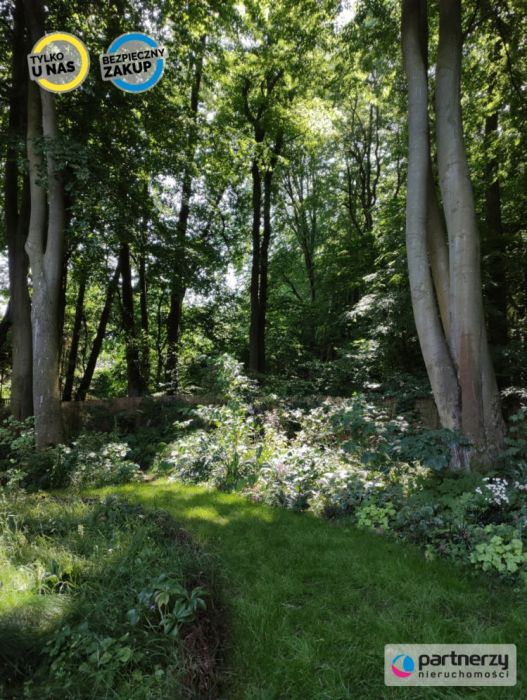 Działka z domkiem | Las za furtką | Piękny ogród: zdjecie 99167753