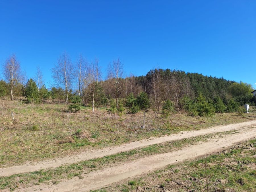Działka nad jeziorem: zdjecie 99113317