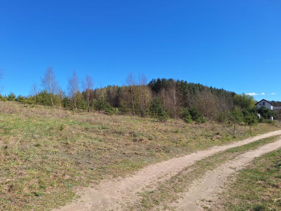 Działka nad jeziorem: zdjecie 99113319