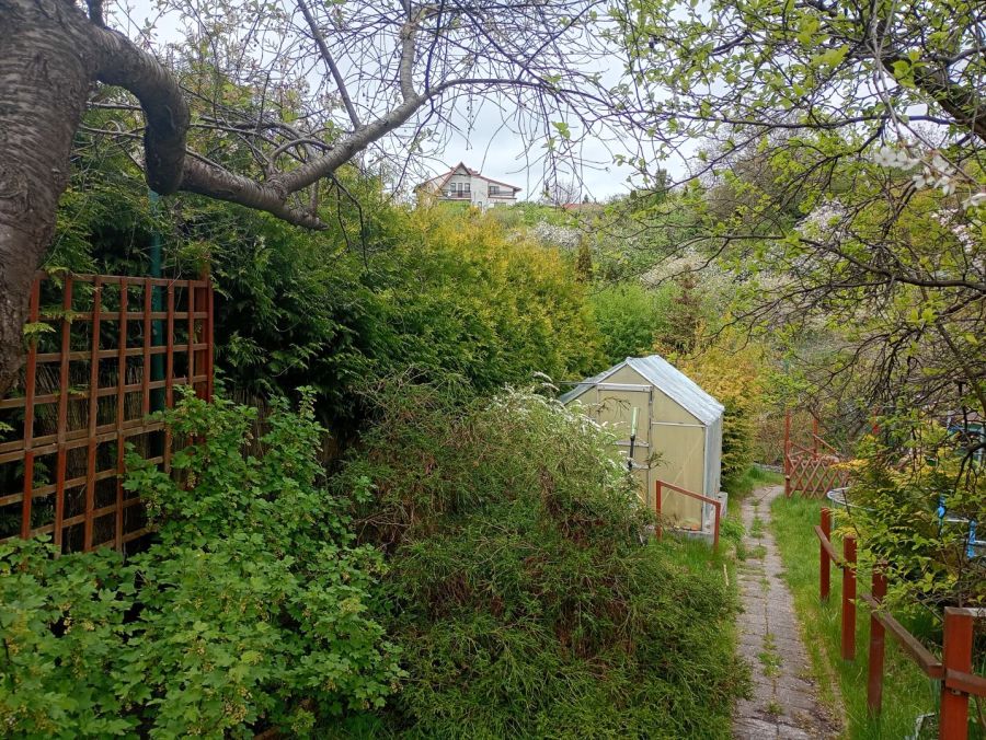 ROD piękna zadbana działka blisko Starego Miasta: zdjecie 99161314
