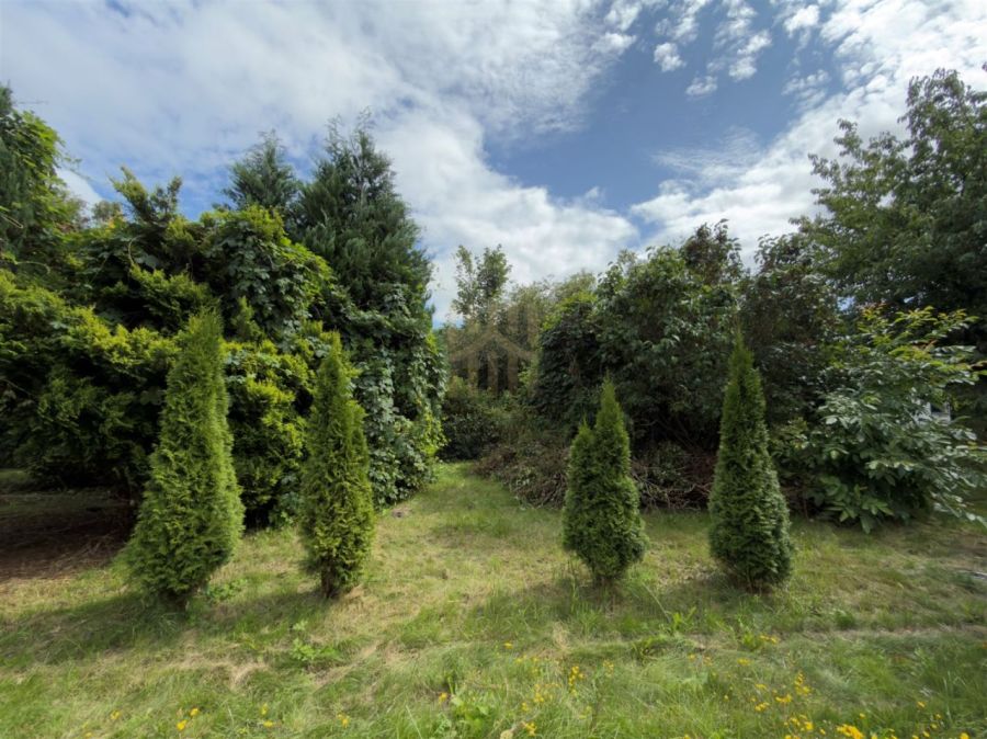 Dzialka Sopot Sopot Dolny 280m<sup>2</sup>: zdjecie 99167054