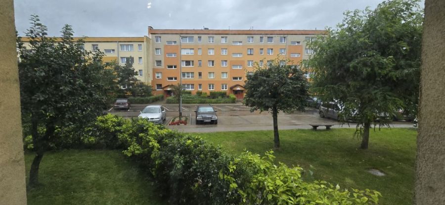 Reda 2 pok. mieszk. przyjazne zwierzętom: zdjecie 99186369