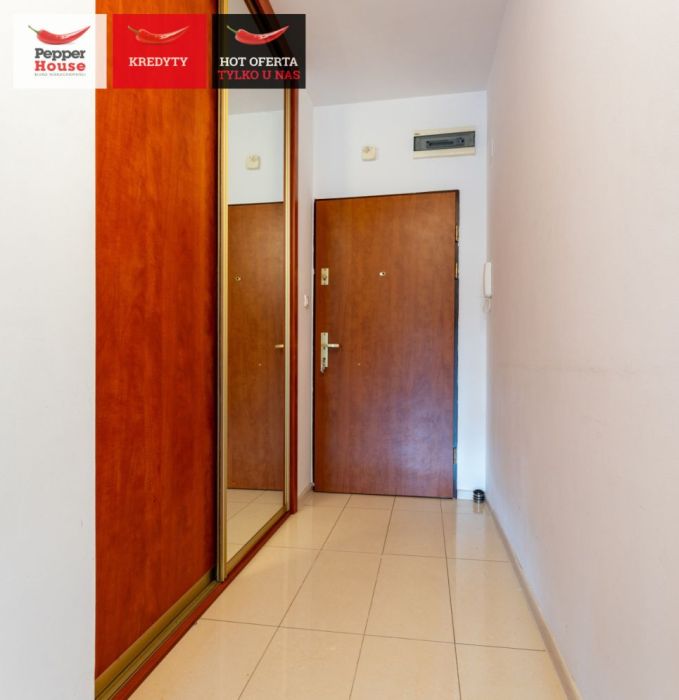 3 pokoje parter miejsce w hali piwnica: zdjecie 99195064