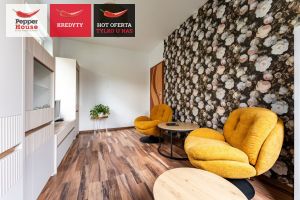 3 pokoje parter miejsce w hali piwnica: zdjecie 66501471