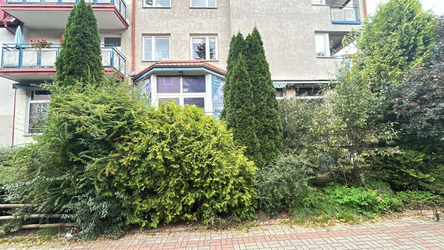 Biuro Gdynia Dąbrowa duży pokój biurowy: zdjecie 99195221