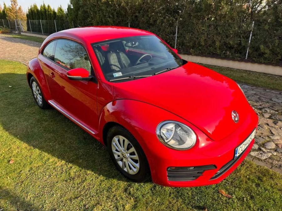 Volkswagen Beetle