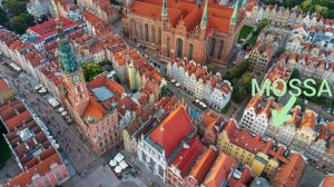 Mossa - kwiaty i pamiątki - kwiaciarnia w sercu Gdańska: zdjecie 66503751