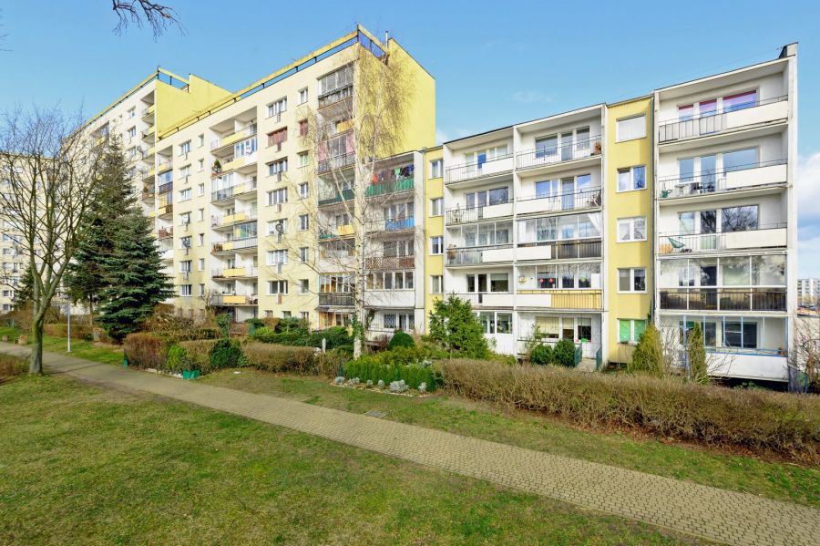 Pokoje przy Zaspa SKM! Blisko uczelni! Od 01.10! Tylko 4 pokoje!: zdjecie 99210539