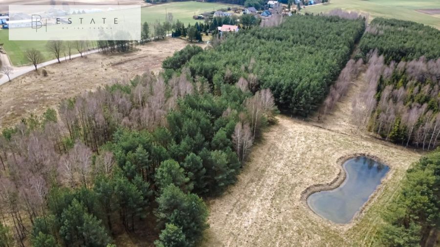 Dom na Kaszubach z basenem/ 4 hektary działki.: zdjecie 99213315