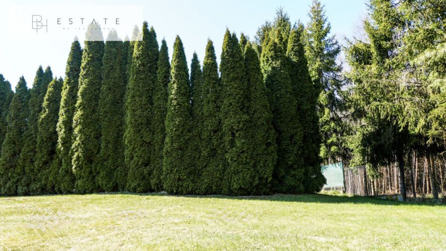Dom na Kaszubach z basenem/ 4 hektary działki.: zdjecie 99213317