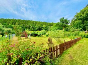 Działka ROD Sopot ul. Reja: zdjecie 66505439