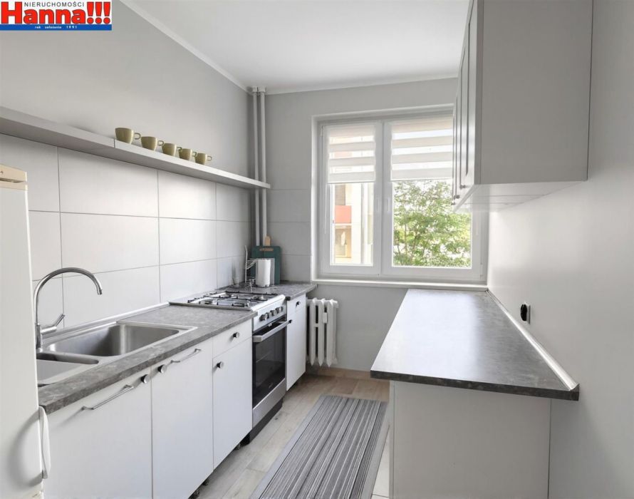 Klasyczny rozkład. Szybkie wydanie. Blisko las.: zdjecie 99231784