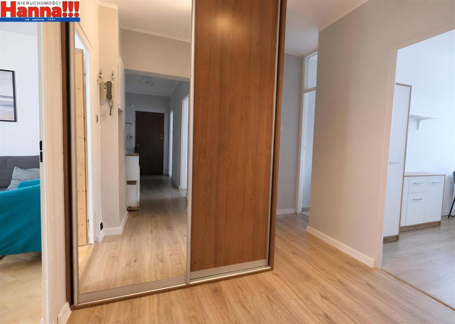 Klasyczny rozkład. Szybkie wydanie. Blisko las.: zdjecie 99231786
