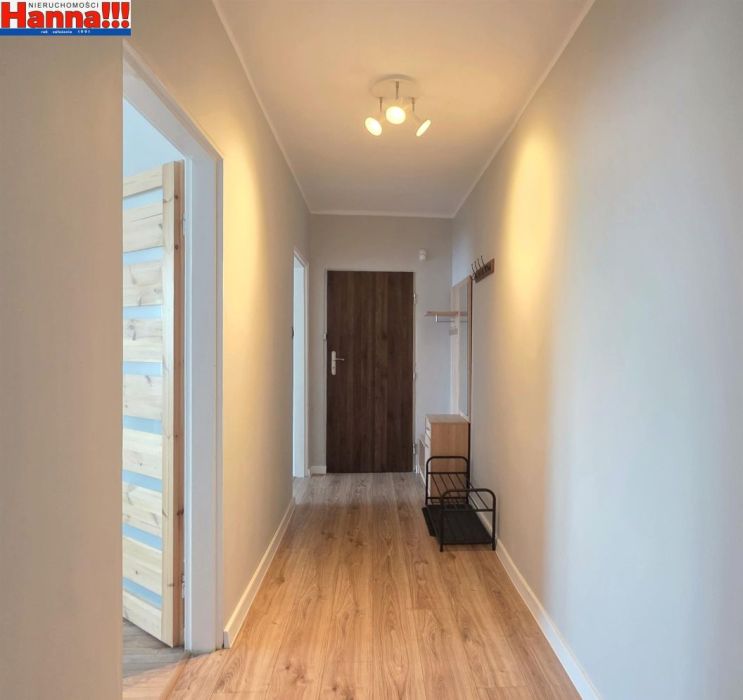Klasyczny rozkład. Szybkie wydanie. Blisko las.: zdjecie 99231787