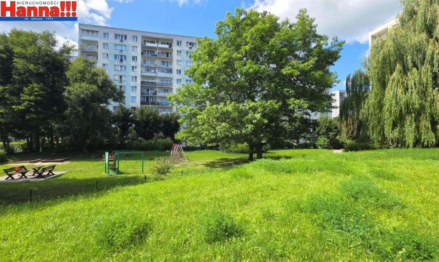 Klasyczny rozkład. Szybkie wydanie. Blisko las.: zdjecie 99231789
