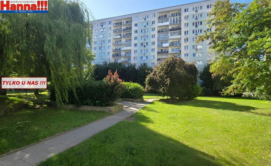 Klasyczny rozkład. Szybkie wydanie. Blisko las.: zdjecie 99231775
