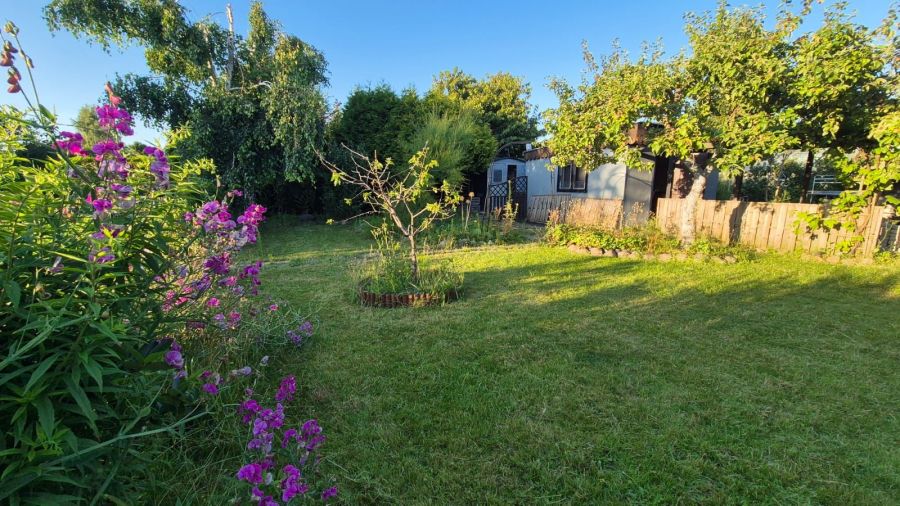 Działka ROD 300 m² Gdynia blisko plaży Babie Doły: zdjecie 99236110