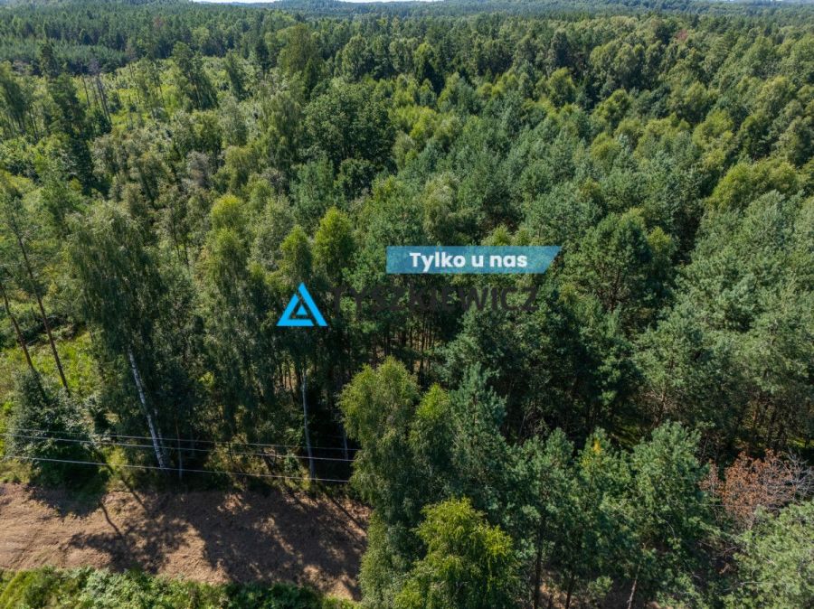 Atrakcyjna działka rolna ze naturalnymi zadrzewien