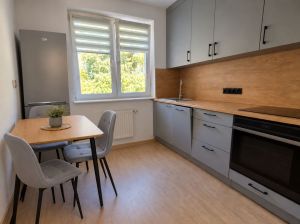 2 pokoje | osobna kuchnia | centrum przy parku | po remoncie | parking: zdjecie 66509984