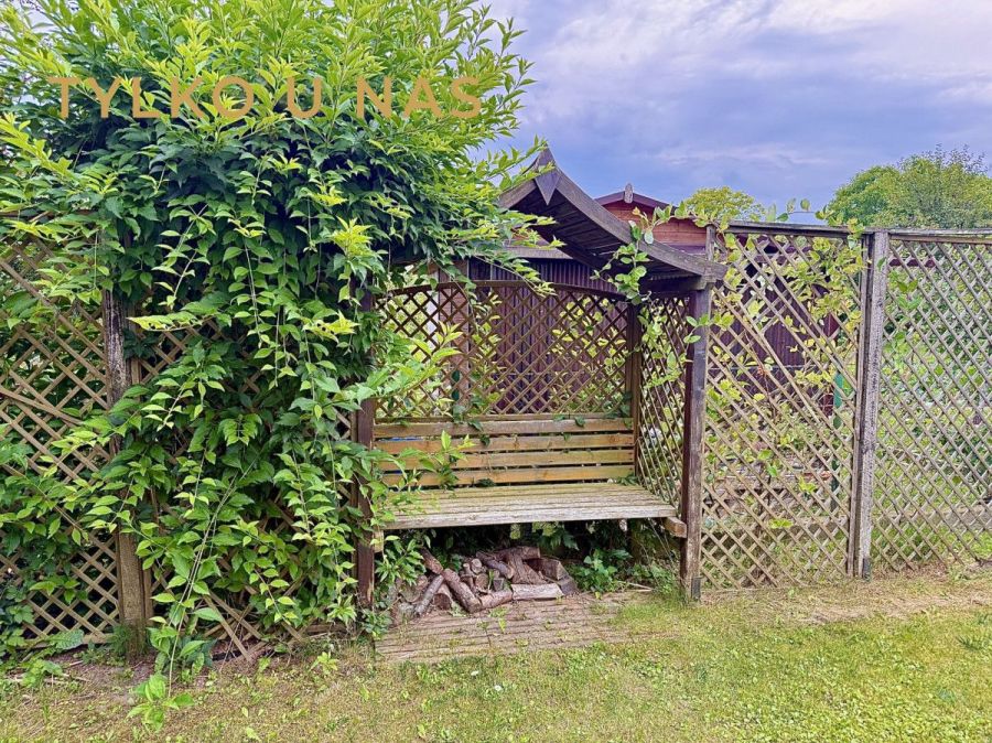Działka ROD Gdynia z domkiem, szybkie wydanie !: zdjecie 99391170