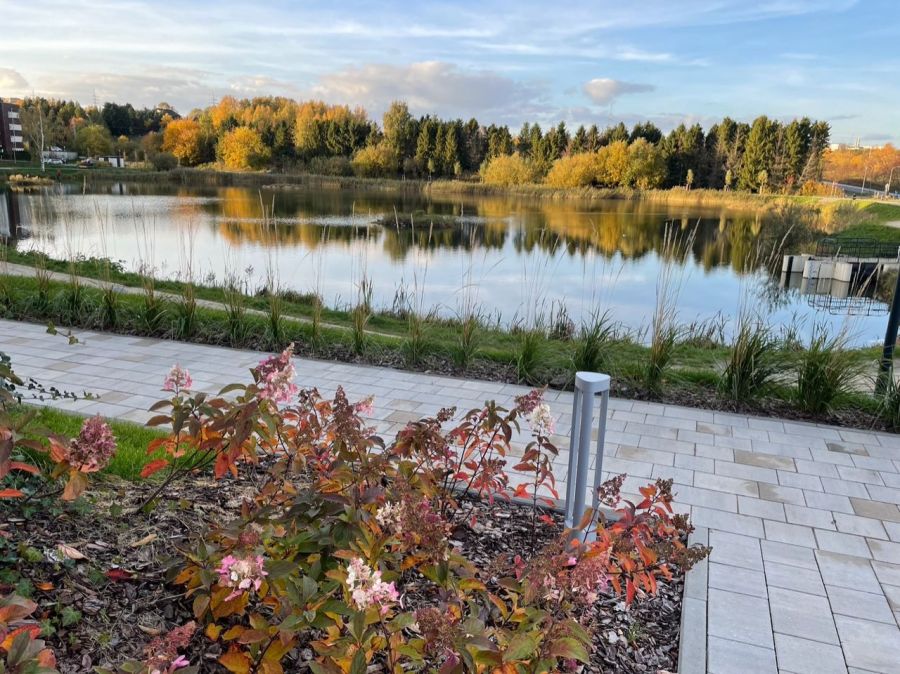 3-pokojowy apartament na Jasieniu z halą garażową: zdjecie 99258384