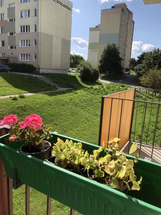 2 pokojowe Gdynia Obłuże tylko u nas: zdjecie 99274758