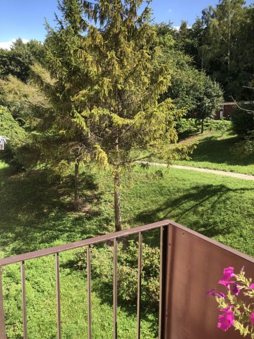 2 pokojowe Gdynia Obłuże tylko u nas: zdjecie 99274759