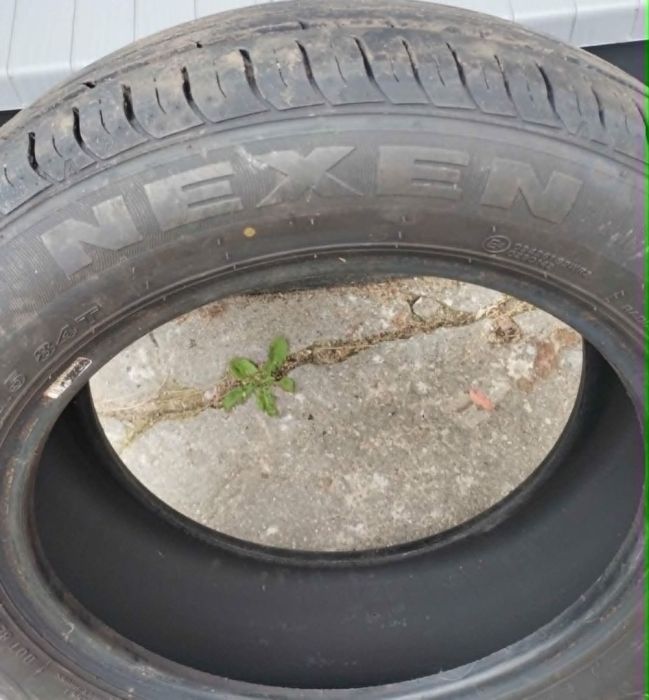 Opony 185/60 R15  komplet 4 sztuk, Nexen: zdjecie 99284102