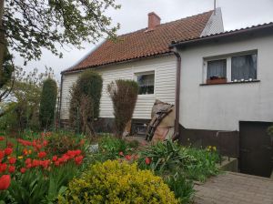 Dom wolnostojący cegła spokojna okolica urządzony ogród Nowy Dwór: zdjecie 66515475