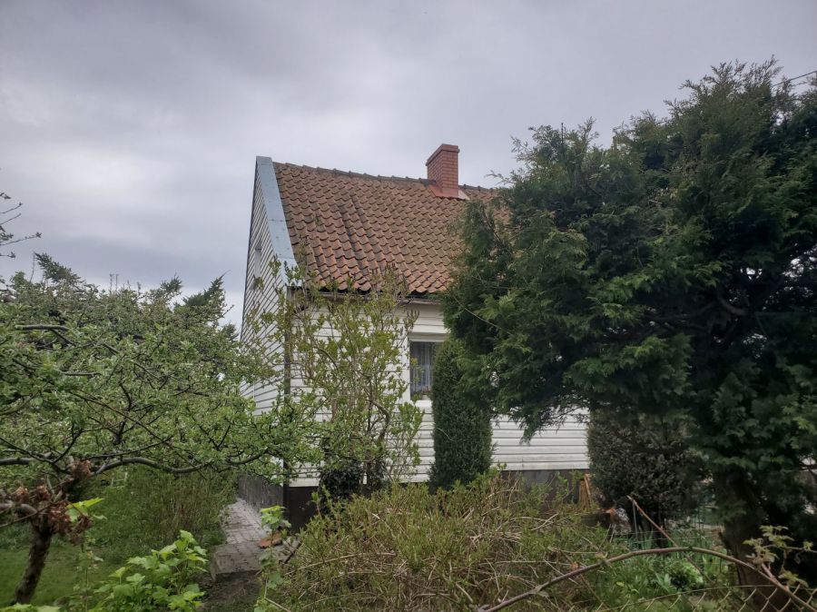 Dom wolnostojący cegła spokojna okolica urządzony ogród Nowy Dwór: zdjecie 99286285