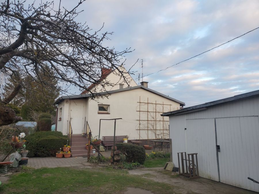 Dom wolnostojący cegła spokojna okolica urządzony ogród Nowy Dwór: zdjecie 99286296