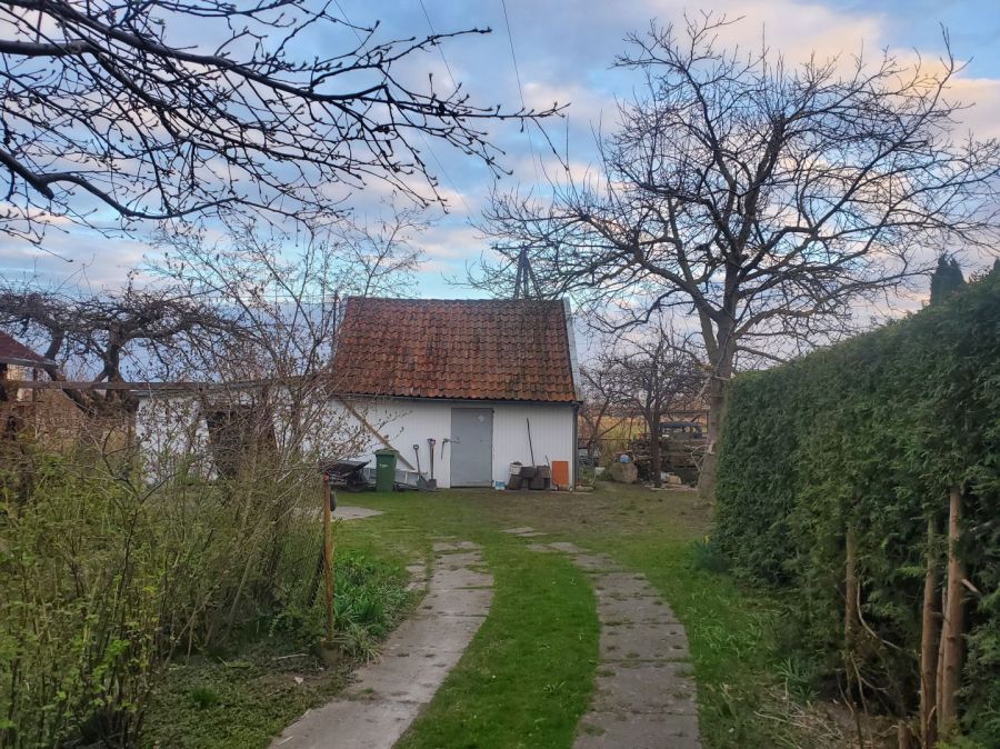 Dom wolnostojący cegła spokojna okolica urządzony ogród Nowy Dwór: zdjecie 99286297