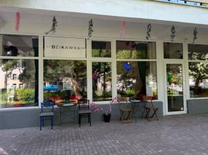 Gotowy biznes na sprzedaż w Sopocie.: zdjecie 66515647