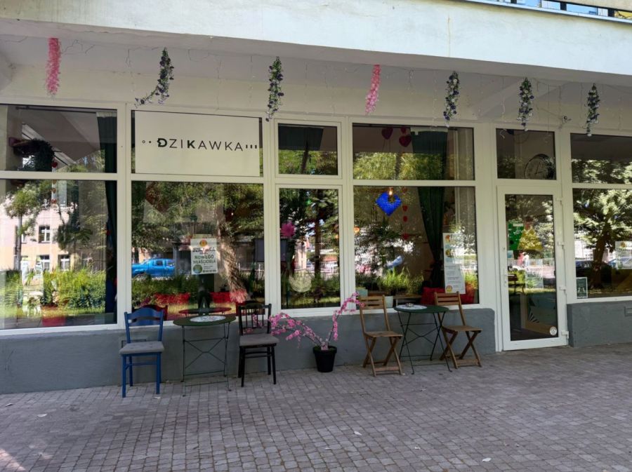 Gotowy biznes na sprzedaż w Sopocie.: zdjecie 99287706