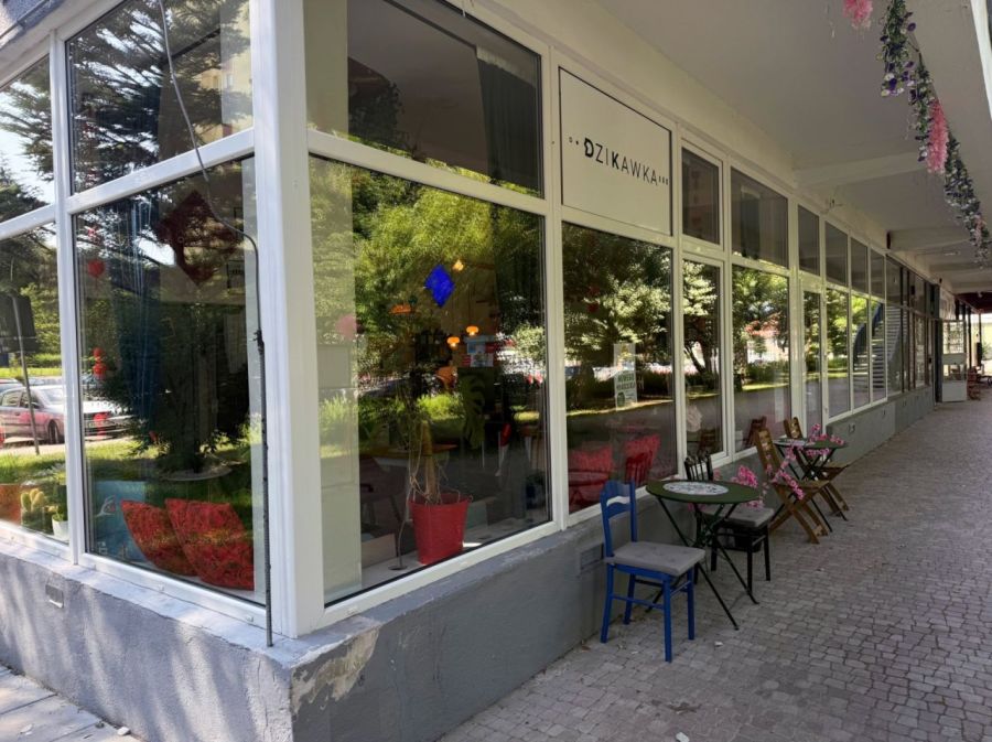 Gotowy biznes na sprzedaż w Sopocie.: zdjecie 99287710