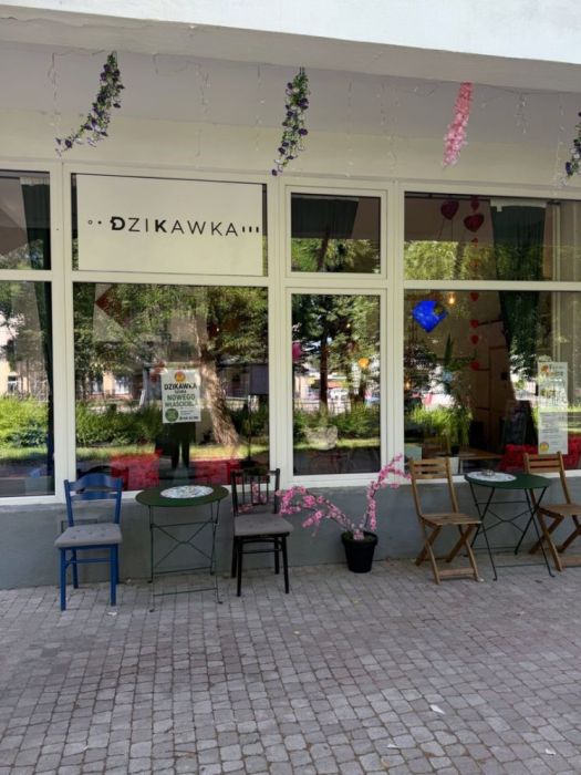 Gotowy biznes na sprzedaż w Sopocie.: zdjecie 99287711