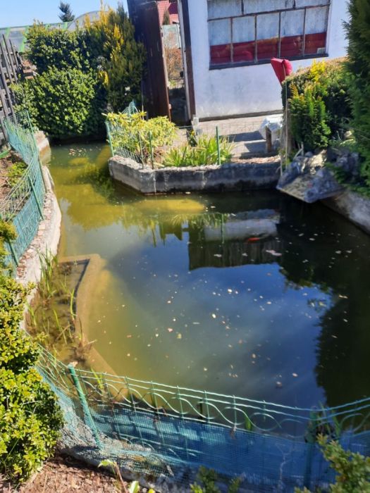Działka ROD 300 m² Gdynia Obłuże owocująca: boró: zdjecie 99288311