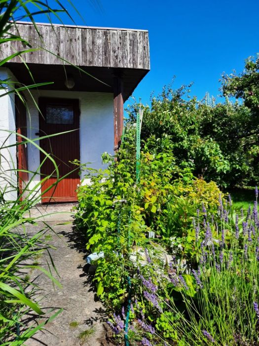 Działka ROD 300 m² Gdynia Obłuże owocująca: boró: zdjecie 99288315